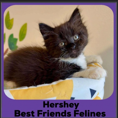 Hershey
