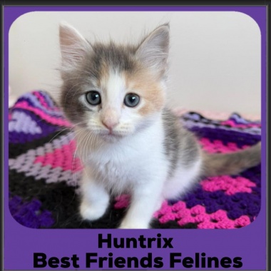 Huntrix-2025 Huntrix-2025