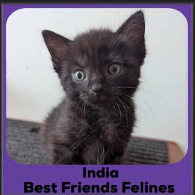 India-2025 India-2025