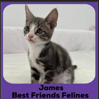 James
