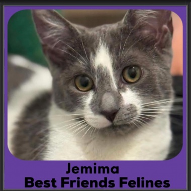 Jemima-2026 Jemima-2026