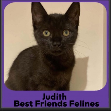 Judith-2026 Judith-2026