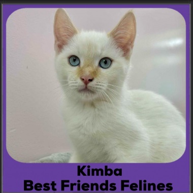 Kimba