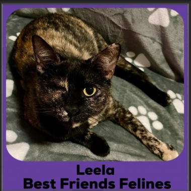 Leela-2025 Leela-2025