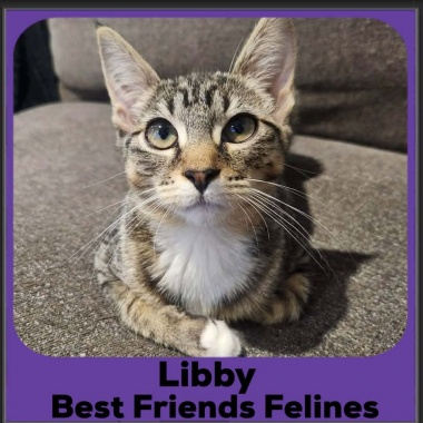 Libby-2026 Libby-2026