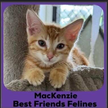 MacKenzie
