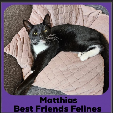 Matthias-2025 Matthias-2025