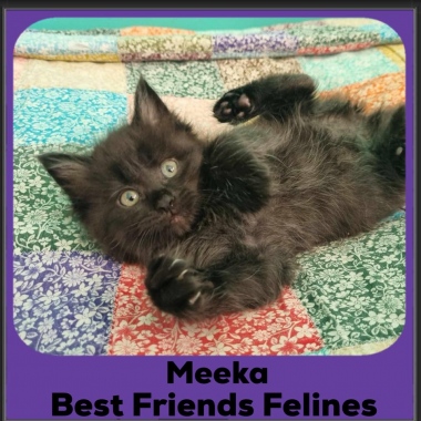 Meeka