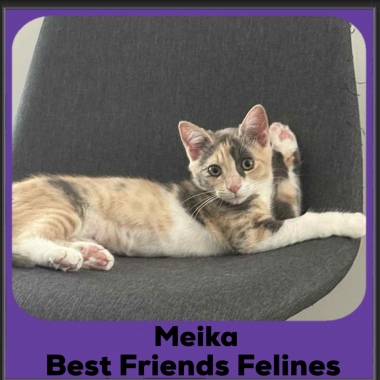 Meika-2025 Meika-2025