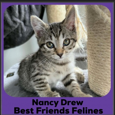 Nancy-Drew-2025 Nancy-Drew-2025