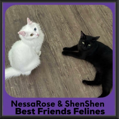 NessaRose-ShenShen NessaRose-ShenShen