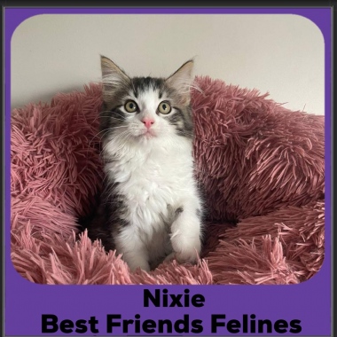 Nixie