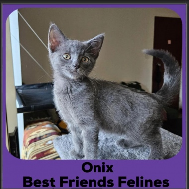 Onix
