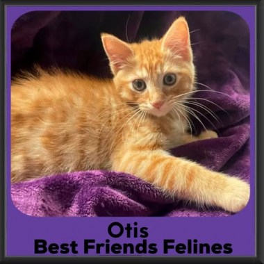 Otis-2026b Otis-2026b