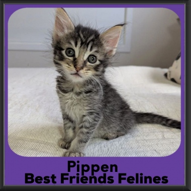 Pippen-2026 Pippen-2026