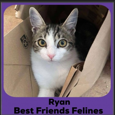 Ryan