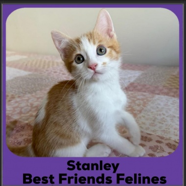 Stanley-2025 Stanley-2025