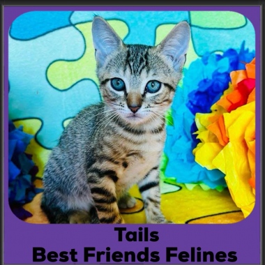 Tails