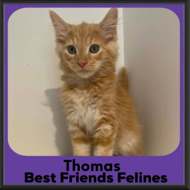 Thomas-2026