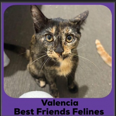 Valencia