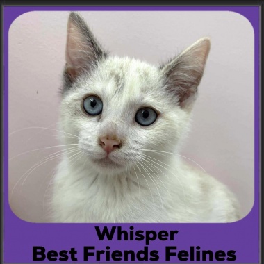 Whisper