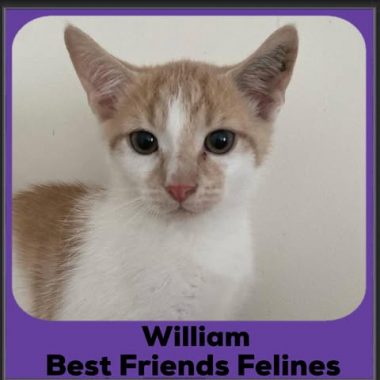 William