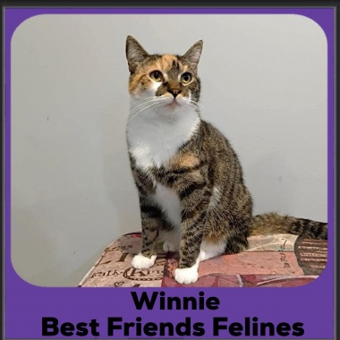 Winnie