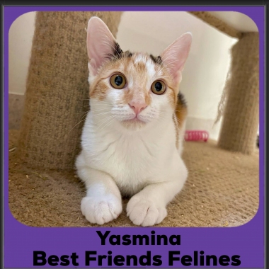 Yasmina