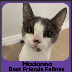 1_2023-Madonna