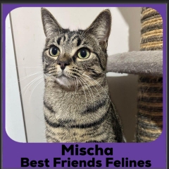 2023-Mischa2