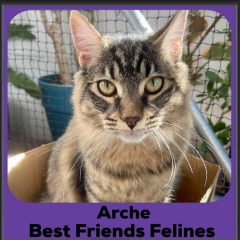 1_2024-Arche