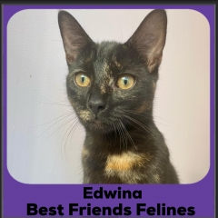 1_2024-Edwina