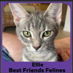 1_2024-Ellie