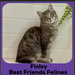 1_2024-Finley