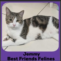 1_2024-Jemmy