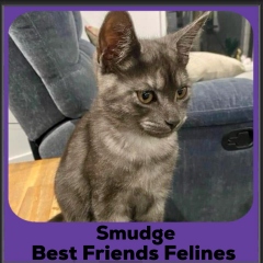 2024-smudge2