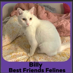 1_Billy-2026