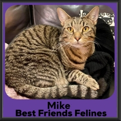 1_Mike-2026