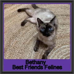 2019-Bethany