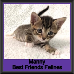 2019-Manny
