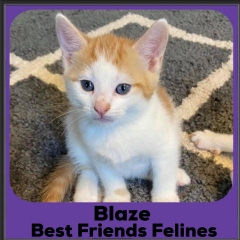2020-Blaze