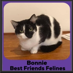 2020-Bonnie