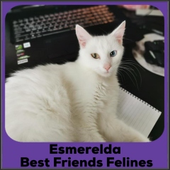 2020-Esmerelda