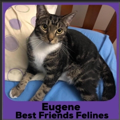 2020-Eugene