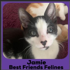 2020-Jamie