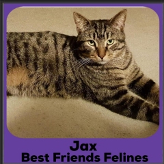 2020-Jax
