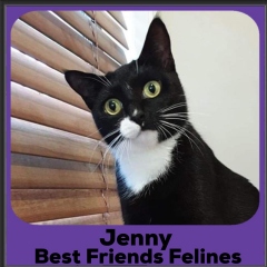 2020-Jenny