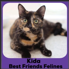 2020-Kida