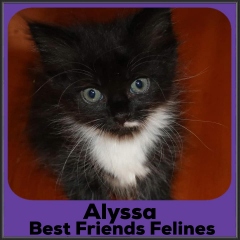 2021-Alyssa