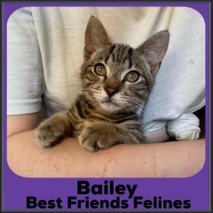 2021-Bailey